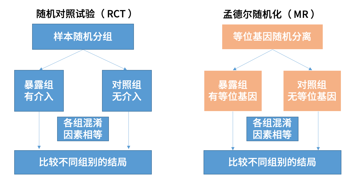 Next page. rct 系 列. 